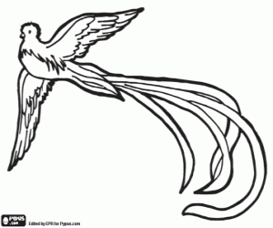 Quetzal was considered a divine bird coloring page
