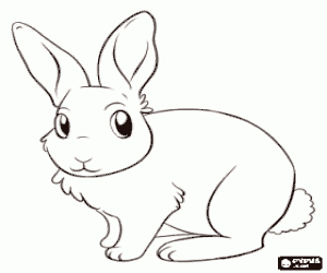 A rabbit on alert coloring page