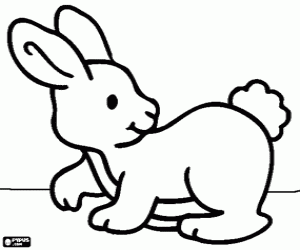 Rabbit - Bunny coloring page