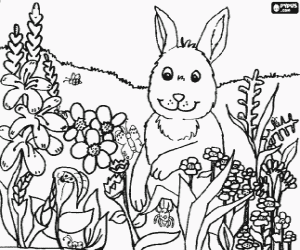 Rabbit and insects in spring coloring page
