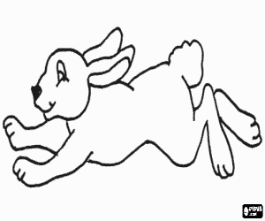 Rabbit running coloring page