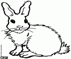 Rabbit with senses on alert coloring page