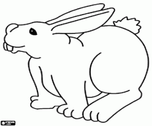 The rabbit is sniffing all around coloring page