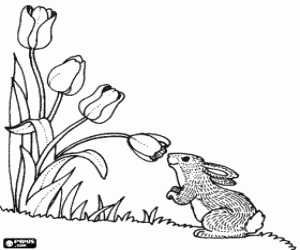 A rabbit with a tulip coloring page