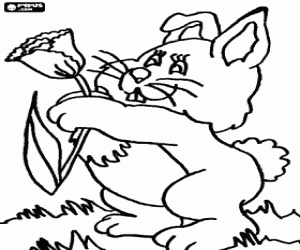 Rabbit with a flower coloring page