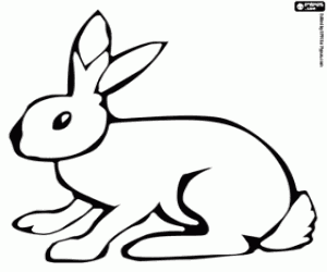 Rabbit coloring page