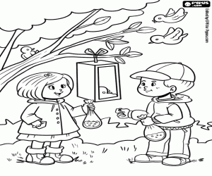 Raising birds in spring coloring page