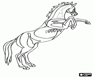 Reared horse coloring page