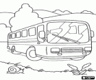 Passengers bus in the landscape