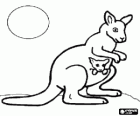 Kangaroo with a joey in her pouch