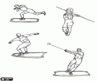 Shot Put, discus throw, javelin throw and hammer throw