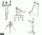 Artistic gymnastics - Still rings, pommel horse, uneven or asymmetric bars, high bar and balance beam