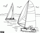 Sailing - Two sailboats sailing