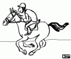 Horseback Riding - Galloping horse with the jockey