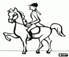 Horse and rider performing a dressage exercise