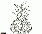 A pineapple, a tropical fruit