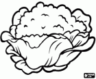 Cauliflower, an annual plant