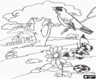 Spring landscape with a house, a tree, a singing bird, a butterfly and a flower
