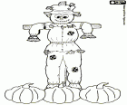 Scarecrow with three large pumpkins in the ground