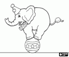 Trained elephant dressed or disguised and acting in a circus walking on a ball
