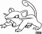 Rattata - Pokémon Normal type, quick attacking rat