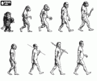 Sequence of human evolution from australopithecus Lucy to modern man passing among others by men of Heidelberg, Beijing, Neanderthal and Cromagnon