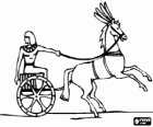 Egyptian warrior, the pharaoh or a nobleman with his horse and his war chariot