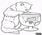 Cat watching a fish swimming in a fishbowl