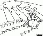 Rabbit cultivating vegetables in its vegetabel garden under the sun and the rain