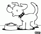 Dog with his dish full of food