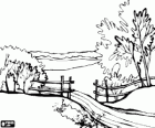 Landscape with trees, a track and a wood fence