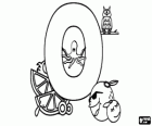Letter O with objects that begin with letter O in English: some oranges, an octopus and an owl