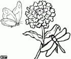 A butterfly and a dragonfly flying over a flower