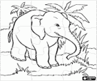 Puzzle of elephant in the jungle
