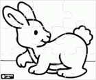 Puzzle of rabbit or bunny