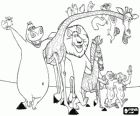Gloria the Hippo, Melman the giraffe, Alex the lion, Marty the zebra with other protagonists of the adventures