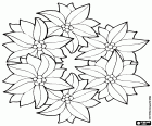 A set of six poinsettias positioned in a circle