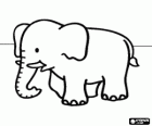 Elephant quiet