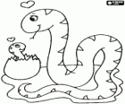 Female snake with its baby just after breaking the eggshell