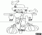 A scarecrow, inefficient, with two birdies over it and two pumpkins on the floor