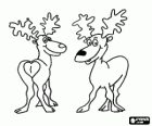 Two happy Christmas reindeers