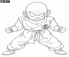 Krillin is the first opponent of Son Goku training with Master Roshi and becomes his best friend