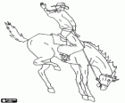 Cowboy riding a rearing horse in a rodeo