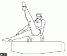A gymnast performs his exercise on the pommel horse