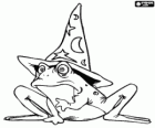 Witch or wizard turned into a frog through a magic potion