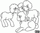 Group of Easter lambs