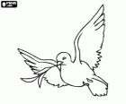 Dove of Peace, a white dove is a traditional Christian and Jewish symbol fo love and peace