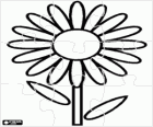 Simple flower puzzle - A daisy puzzle