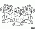 Group of three little monkeys with eyes and ears wide open