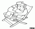 Chimpanzee dressed in a suit and sitting in a chair